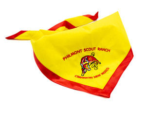 VINTAGE BULL NECKERCHIEF