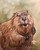 Beaver on Large Canvas