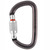 Petzl Am'D Locking Carabiner Petzl Am'D Locking Carabiner