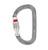 PETZL CARABINER AM'D SCREW