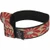 Bottle Belt