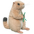 Stuffed Animal Prairie Dog