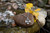 ARROWHEAD NECKALCE 21" ARROWHEAD NECKALCE 21"