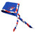 PHILMONT USA 250 PATRIOTIC NECKERCHIEF