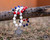 PHILMONT 250TH BEADED NECKLACE