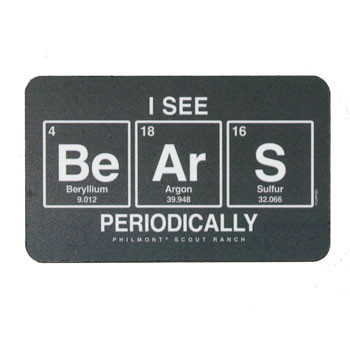 I See Bears Periodically Magnet