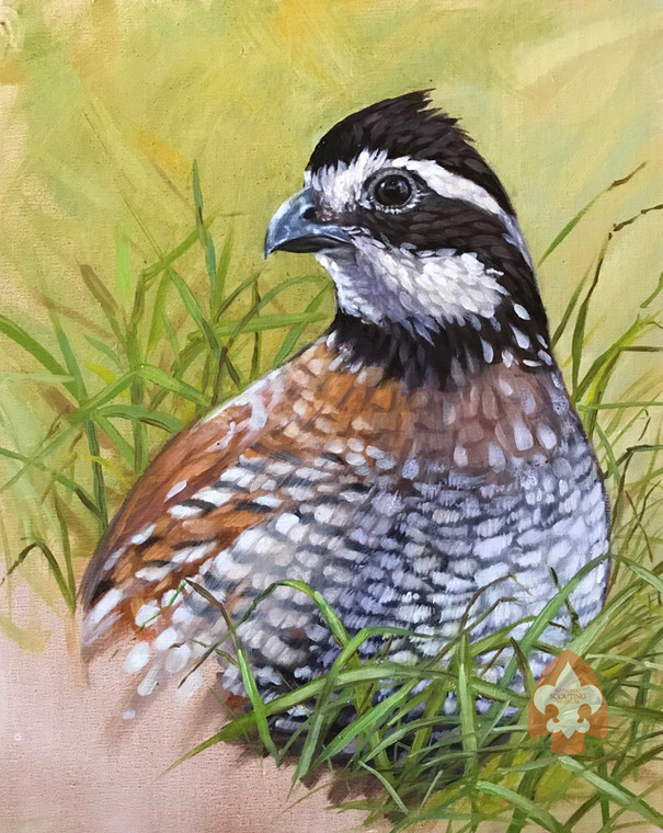 Bobwhite print on canvas