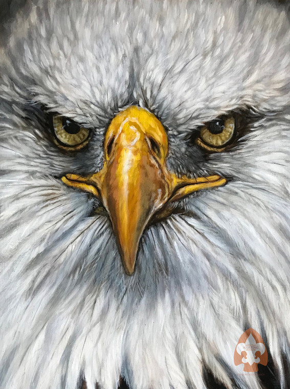 Eagle Print on Canvas