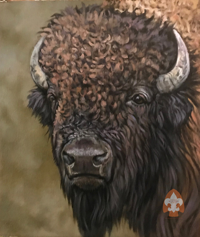 Bison on Large Canvas
