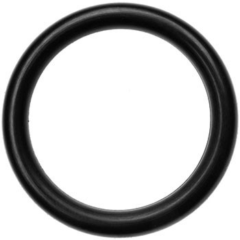 MSR FUEL BOTTLE O-RING
