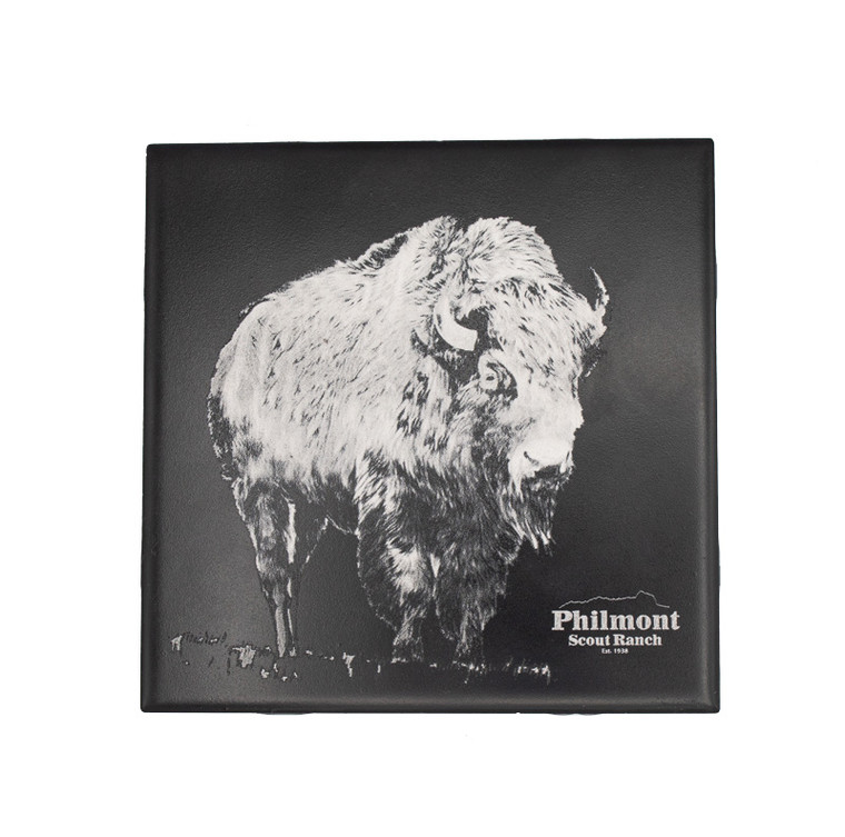 Bison Etched Tile