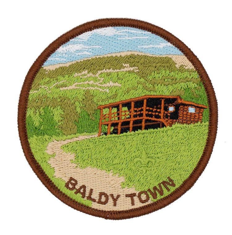 Patch Baldy Town