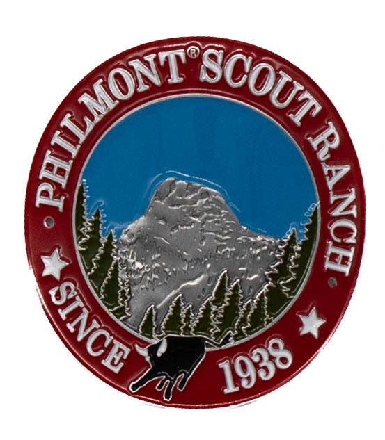 Shield Tooth In Color