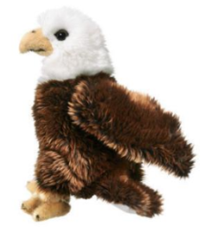 Stuffed Bald Eagle
