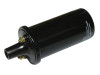 New 12 Volt Coil Assembly fits Many Models