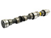 Allis Chalmers Camshaft 72089521
