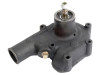 Tractor  WATER PUMP, 748737M91 Part Number S40041