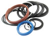Tractor  SEAL KIT, BOOM RAM, 1607427M91 Part Number S41281