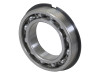 Massey Ferguson PTO Bearing 195498m1