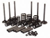 Massey Ferguson/Fordson Valve Train Kit for 3cyl Diesel