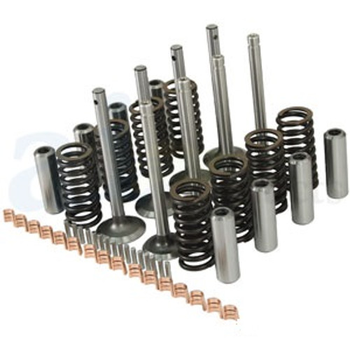 Massey Ferguson Valve Train Kit for Z129 or Z134 Engines