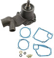 New International/Case-IH Water Pump 311781a1