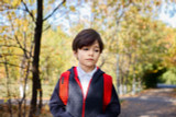 Homeopathy for Back-to-School Stress