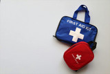 Homeopathy for First Aid.  Essential Remedies for Summer Travel, Camp, and Everyday Mishaps