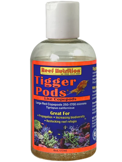 Tigger Pods 6oz