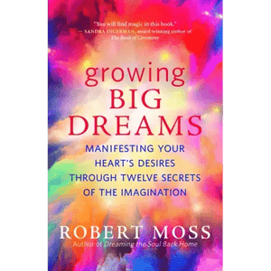 Growing Big Dreams: Manifesting Your Heart's Desires Through Twelve Secrets of the Imagination - Pa H871-10780756148497