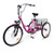US GARVEE Electric Trike 7-Speed Adult Electric Tricycle Folding Electric Tricycle with Basket K484-POU_09Y09MAZ_US