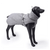 New Style Dog Winter Jacket with Waterproof Warm Polyester Filling Fabric-(gray,size L) T575-S0671272822