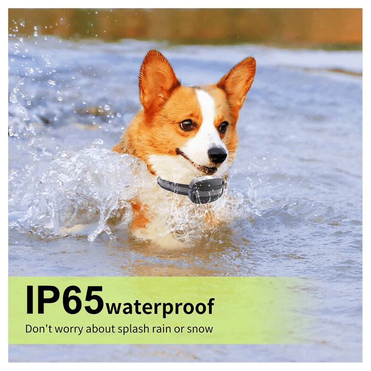 GPS Wireless Dog Fence Pet Containment System Waterproof Training Collars T575-S0671291822