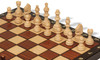 Small Magnet Folding Chess Set - Brown