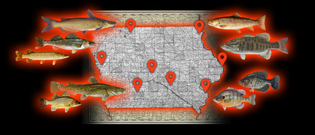 Summer Fishing Destinations in Iowa