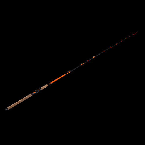 Catfish & Carp Fishing Rods