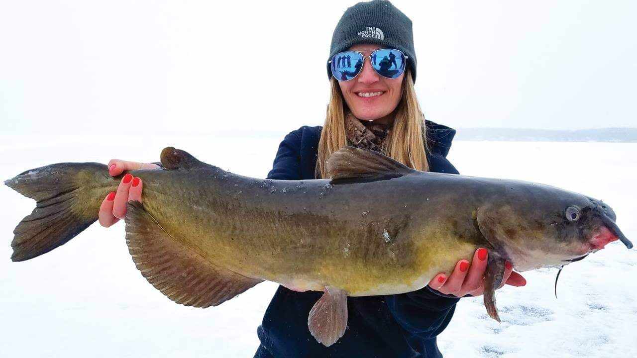 How To Catch Catfish Through The Ice - Whisker Seeker Tackle