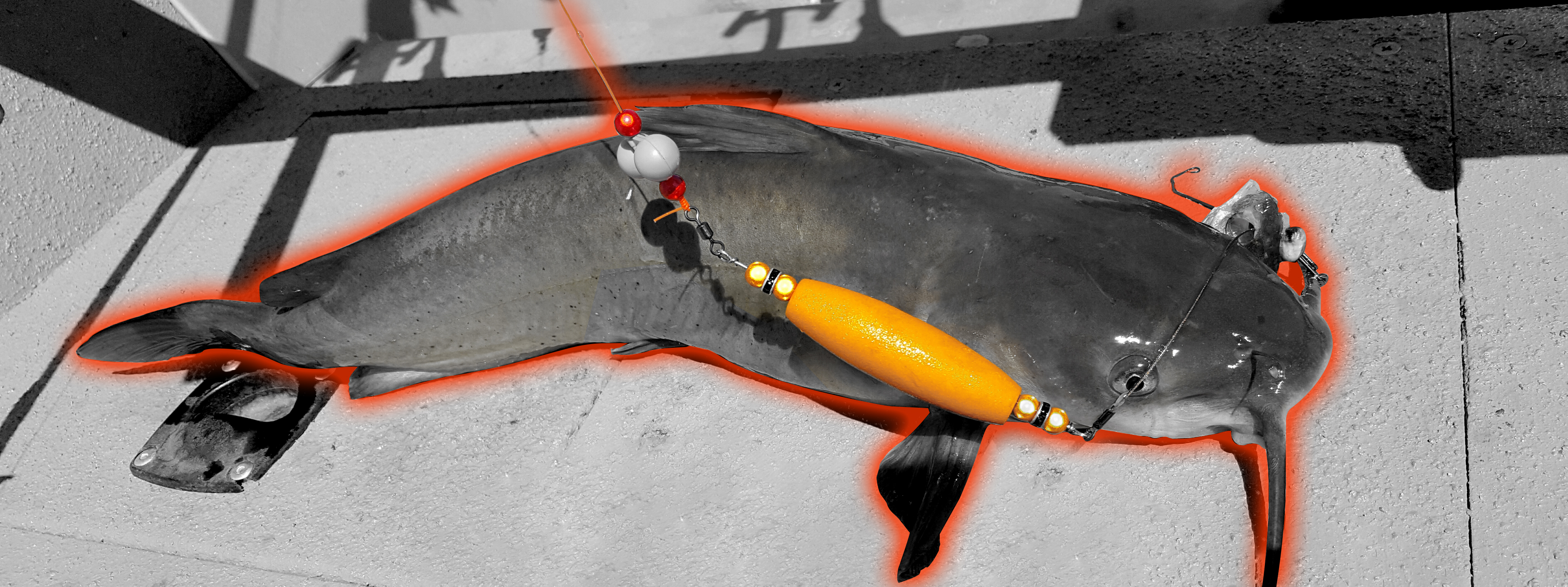 Catfish Hooks 101: Breaking Down 4 Of The Most Common Types