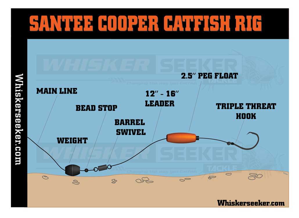 Cat Tip of the Day – Santee Cooper Rig in Action - Catfish & Sturgeon -  Catfish & Sturgeon