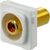 Closeup of white ABS plastic Digitek red RCA insert showing recessed F female to yellow RCA female ports