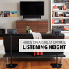 SANUS WSS21 black premium stand elevating Sonos play 3 to ear height in contemporary home theater