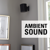 Sonos WSWMM black wall mount with sonos speaker for ambient sound
