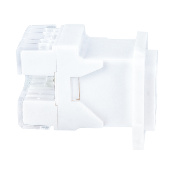 Digitek CAT6 mech for gigabit Ethernet connection in home or office networking setup Digitek CAT6 mech for gigabit Ethernet connection in home or office networking setup