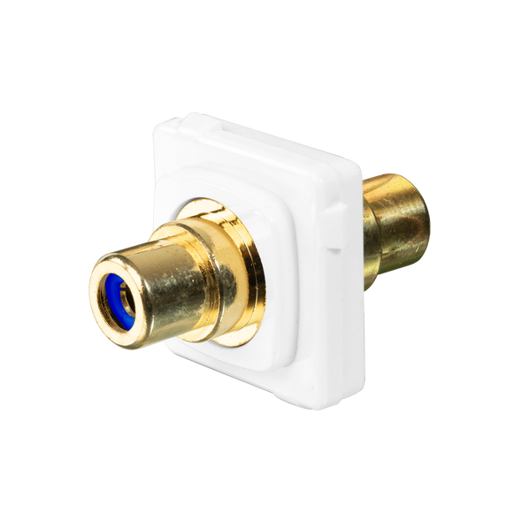 Digitek HPM Style RCA F to RCA F Insert – Blue full view