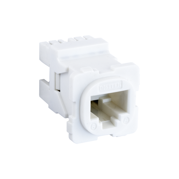 Digitek 05CRJ45C6A CAT6A RJ45 jack in white ABS plastic for Australian wall plates, 8P8C with T568A/B labels and clamp-down termination