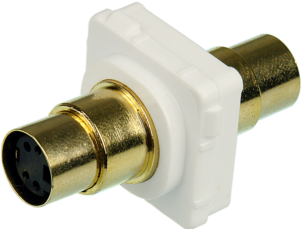 Close-up of SVIDEO to SVIDEO Wallplate Insert for Digitek or Clipsal Style Wallplates Close-up of SVIDEO to SVIDEO Wallplate Insert for Digitek or Clipsal Style Wallplates