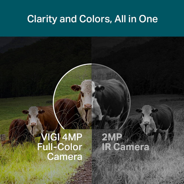 TP-Link 4MP Outdoor Full-Colour 4G Pan Tilt Network Camera (4mm)