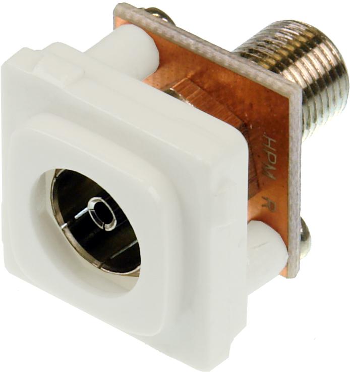 Closeup of white ABS plastic Digitek CATV insert showing F female to PAL female ports