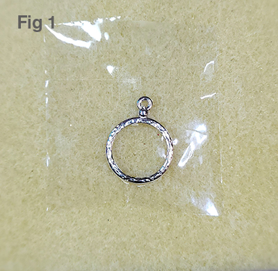 coearrings-fig1.jpg