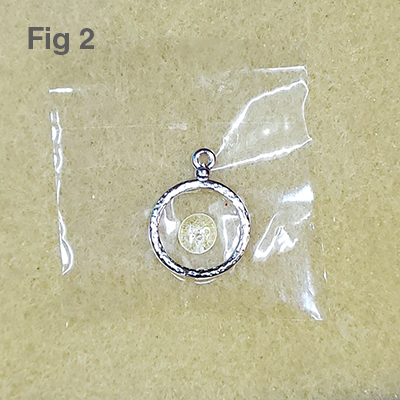 coearrings-fig2.jpg